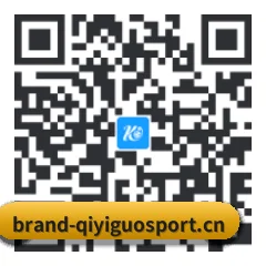 iPhone 专版 二维码